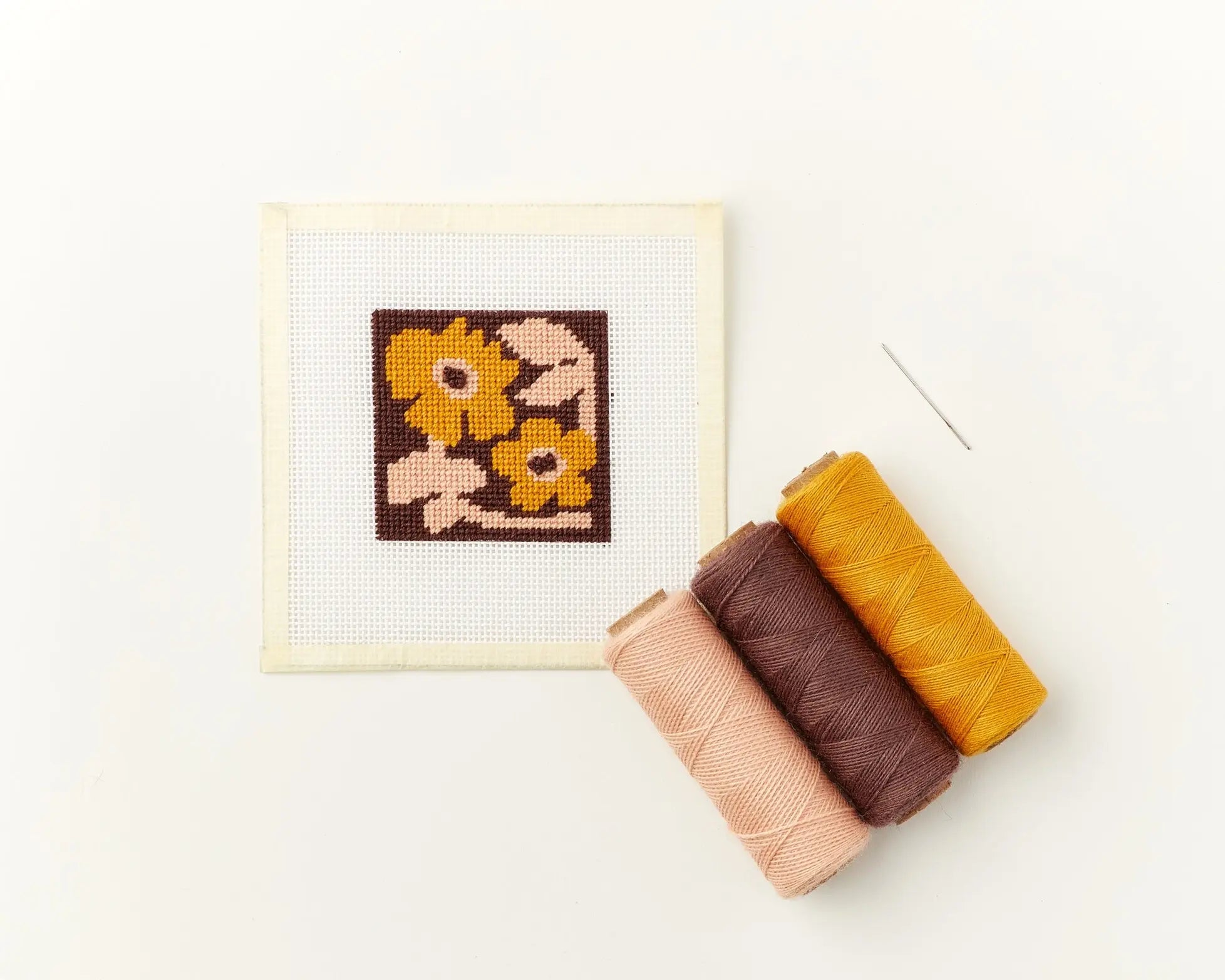 Learn to Needlepoint Kit