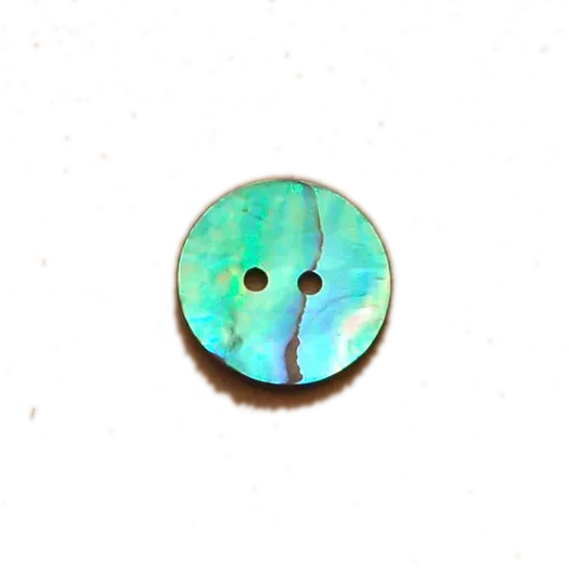 Mexican Abalone Shell Buttons