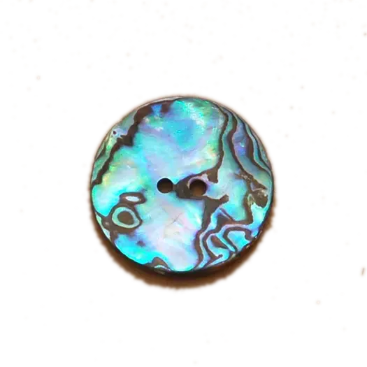 Mexican Abalone Shell Buttons